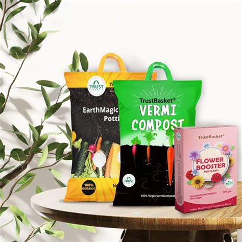 TrustBasket Bloom & Care Flower Kit