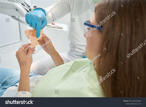 77 Malar Bone Images, Stock Photos & Vectors | Shutterstock