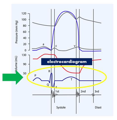 Cardiac Cycle Explained 的图像结果