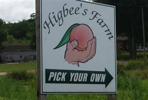 HIGBEE'S FARM (2025) All You Need to Know BEFORE You Go (with Photos ...