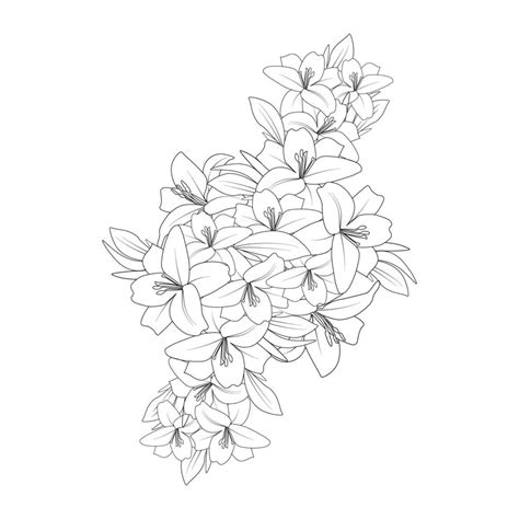 doodle lily flower coloring page drawing with line art drawing for ...