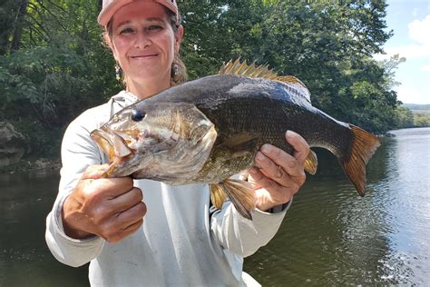 Guided Smallmouth Bass Trips | Davidson River Outfitters