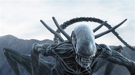 Alien Covenant Xenomorph 的图像结果