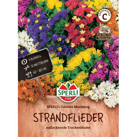 Sämerei-Strandflieder ‚SPERLI´s Colorita Mischung‘ – Nimmervoll … Ihr ...