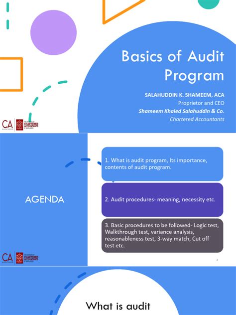 Audit Program 的图像结果