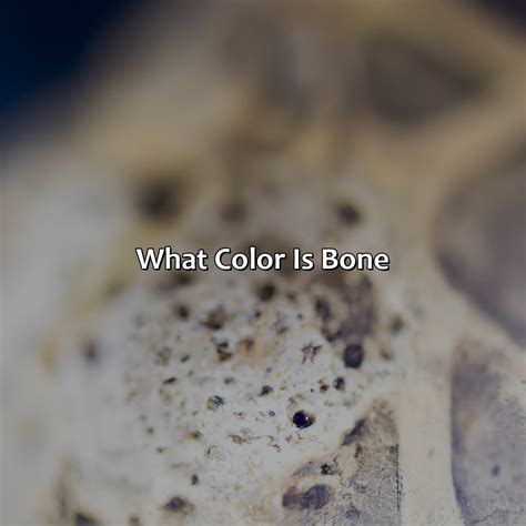 What Color Does Orange And Blue Make - colorscombo.com