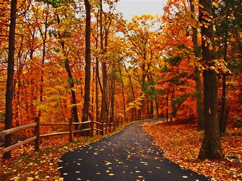 Fall 的图像结果