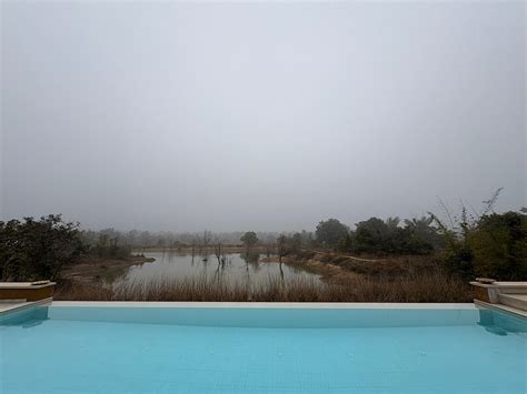 TREE OF LIFE RAMVILAS, BANDHAVGARH (Pataur) - Inn Reviews, Photos, Rate ...