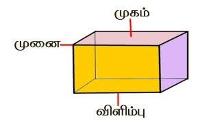 முப்பரிமாண உருவங்களின் (3D) பண்புகள் - வடிவியல் | பருவம் 1 அலகு 1 | 4 ...