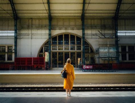 Self-Preservation: Ticket to Ride - Honest to Goodness