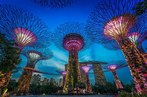 Nikmati Jelajah Singa: Destinasi Wisata Gratis Mengagumkan