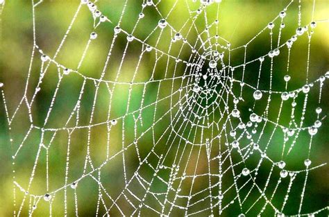 Image result for web]