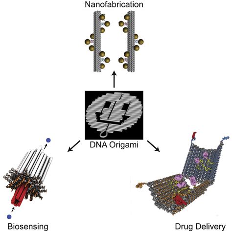 Image result for DNA Origami Applications