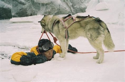 《南极大冒险》: 一群很牛的狗狗的生存冒险电影!