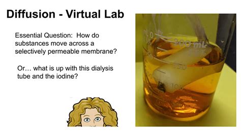 Image result for Diffusion Lab