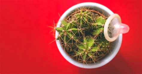 How to Test for HIV AIDS? Window Periods – healthcare nt sickcare