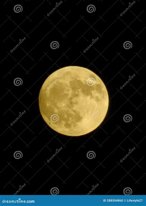 Yellow full moon stock photo. Image of full, moon, night - 288504860