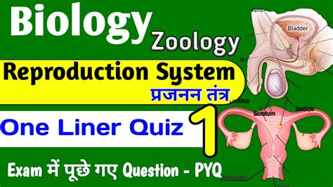 Reproduction System प्रजनन तंत्र One Liner Quiz #1