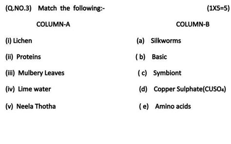 match the following questions - Brainly.in
