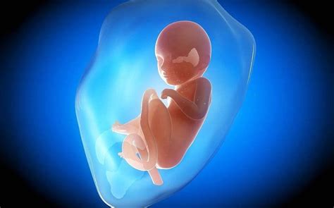 孕期到了这个月，胎儿容易出现“缺氧”现象，准妈妈别大意了！ - 知乎