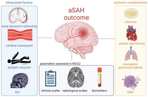 The Role of Early Serum Biomarkers and Clinical Rating Scales in the Prediction of Delayed ...