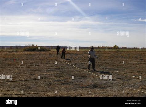 Broadcasting Planting 的图像结果