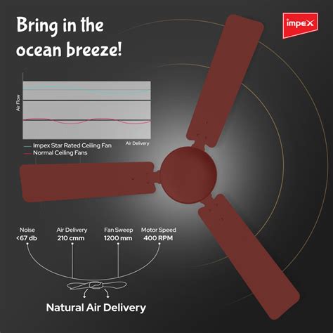 Impex Whizstar Plus 1200 mm Ceiling Fan for Home, High Speed Fan Havin ...