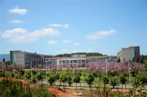 昆明文理学院（原云南师范大学文理学院）,是经教育部批准的具有全日制普通本科学历教育资格的高等学校