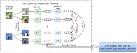 Image result for Contrastive Self Supervised Learning