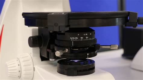 Polarizing Light Microscope 的图像结果