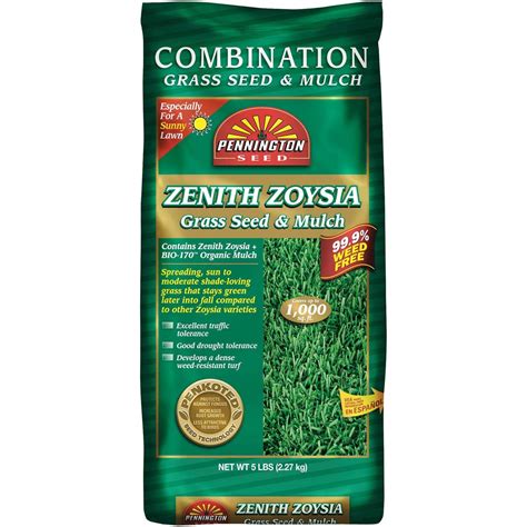 Zoysia Grass Seed | Seed World
