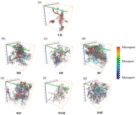 Effects of Organic Amendments on Soil Pore Structure under Waterlogging ...