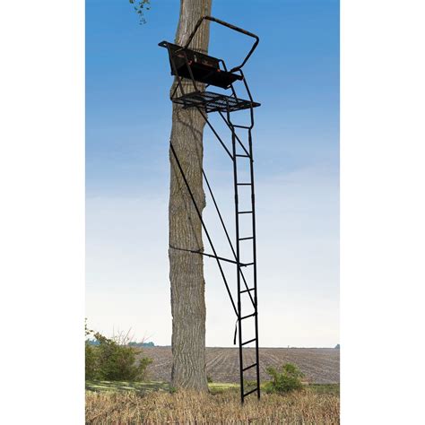 Image result for Portable Ladder Tree Stands