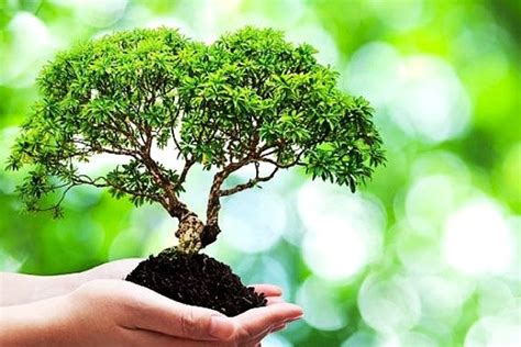 Life Science Tutor 的图像结果