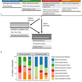 Plant Community 的图像结果