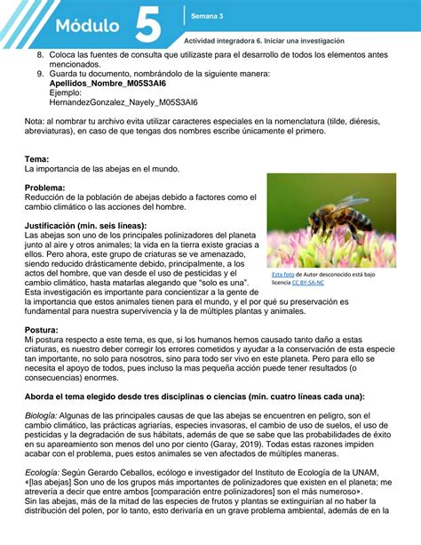 Modulo 5 的图像结果