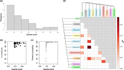Image result for Two Types of Incomplete Lineage Sorting