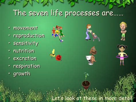 Life Process Explained 的图像结果