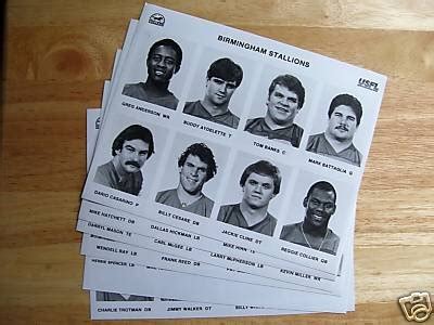 1983 USFL Birmingham Stallions Team Issue Photo SET | #76719843