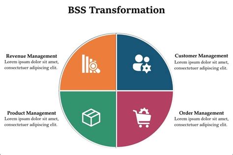 Image result for Instant Conversion BSS
