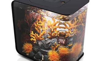 LED Light Desktop Mini Fish Tank 的图像结果