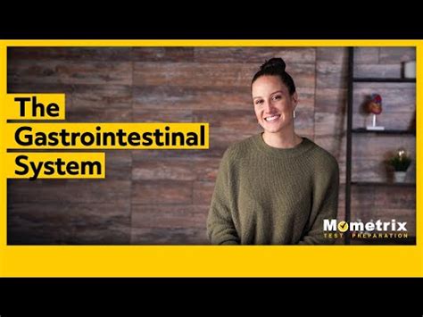 The Gastrointestinal System Video Lecture - MCAT