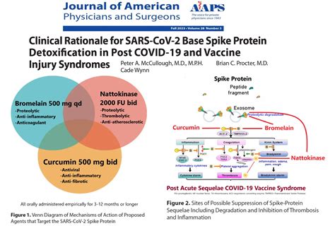 BREAKING--Clinical Rationale for SARS-CoV-2 Base Spike Protein Detoxification in Post COVID-19 ...