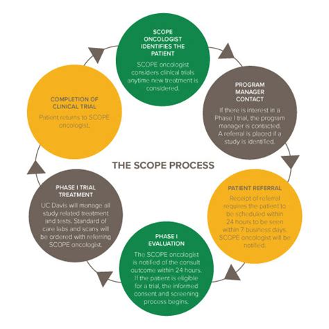 Image result for Scope Procedure