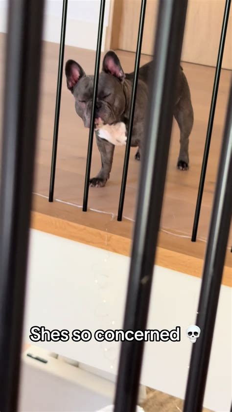 Evnlyofficial (@evnlyofficial) - Urlebird