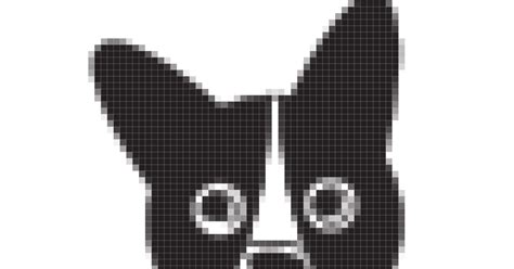 Image result for Raster Graphics File Formats