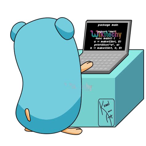 Image result for Golang Tutorials in Networking