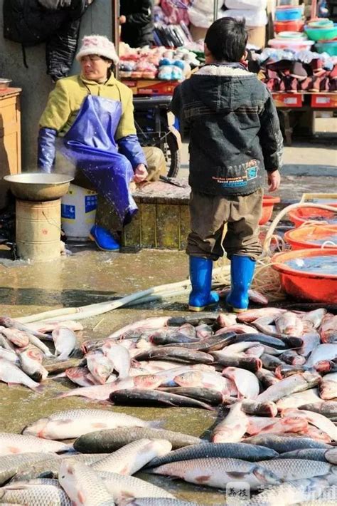 官方回应“男孩辍学杀鱼卖鱼”：目前在上初中_翁源县_视频_韶关