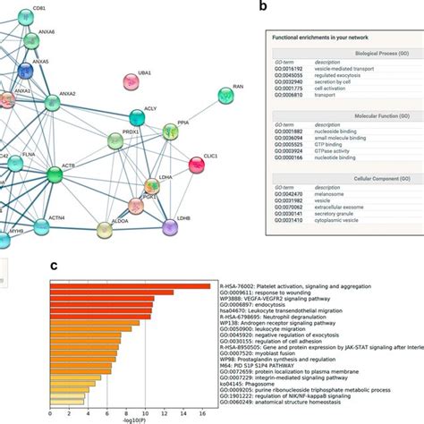 String Spring 的图像结果